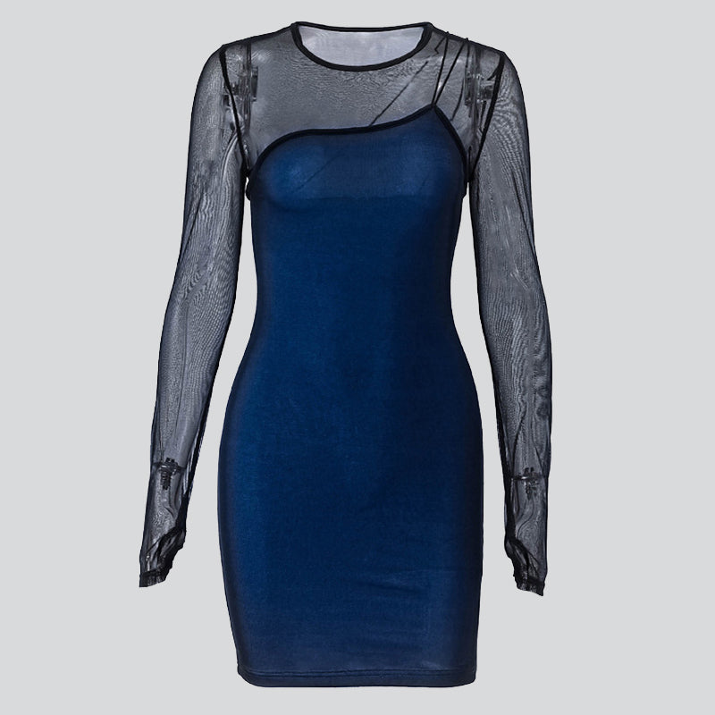 Bodycon Dress with Sheer Sleeves